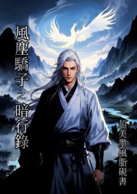 《风尘骄子·暗行录》