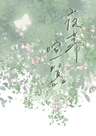 夜幕喧嚣（伪骨科）